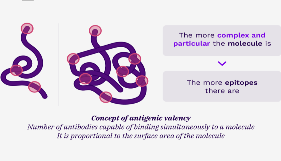 consept of antigenic